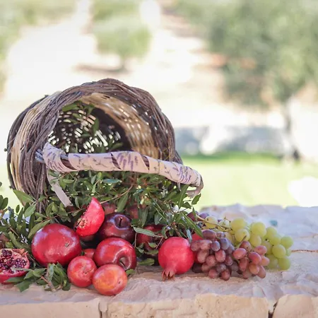 Td Trulli Lorusso Design Luxury Trulli With Pool * Castellana Grotte